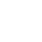 icon vip
