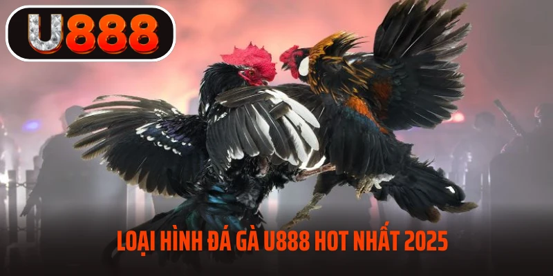 Loại hình đá gà U888 hot nhất 2025