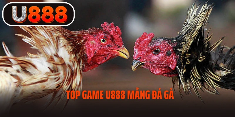 Top game U888 mảng đá gà